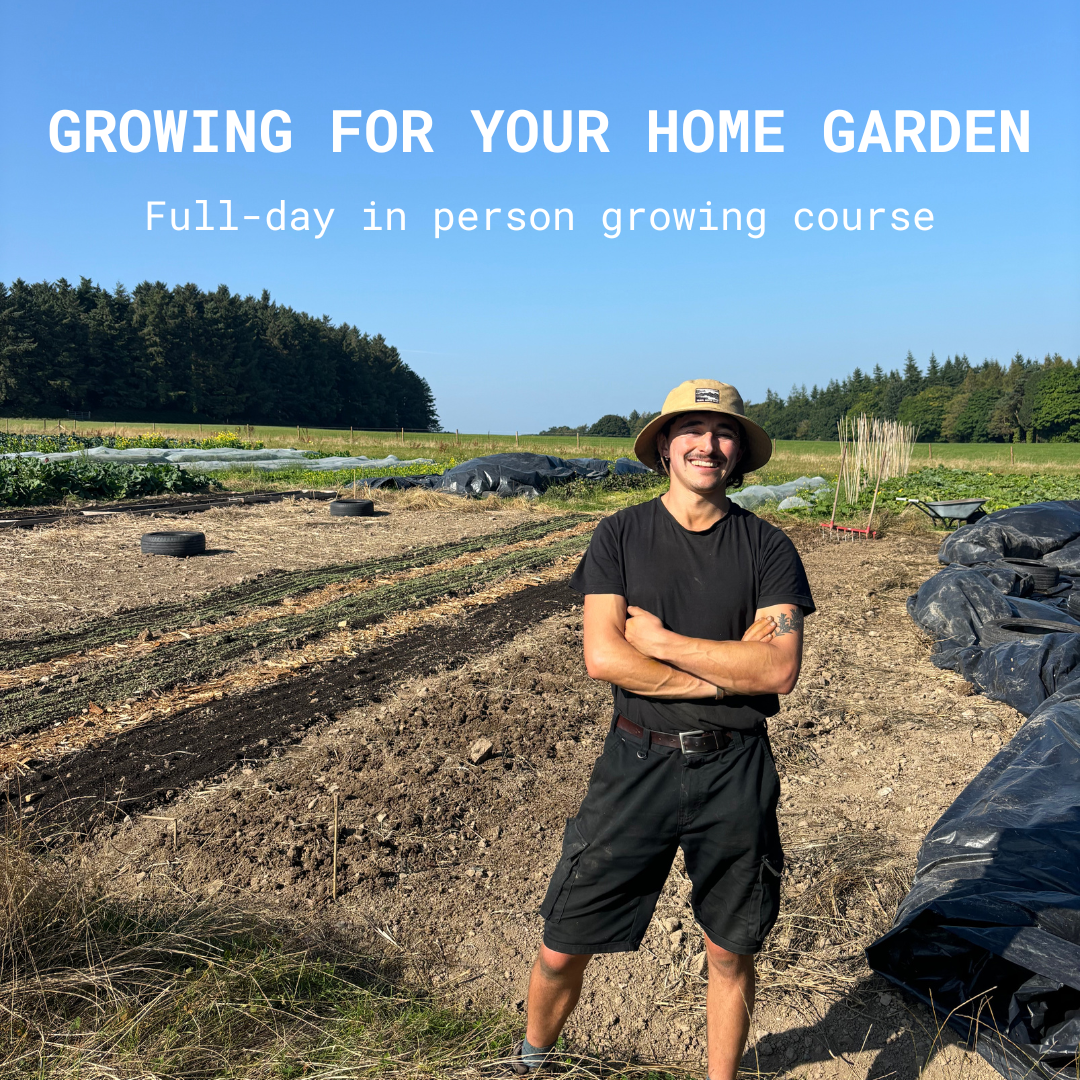 Growing for your Home Garden