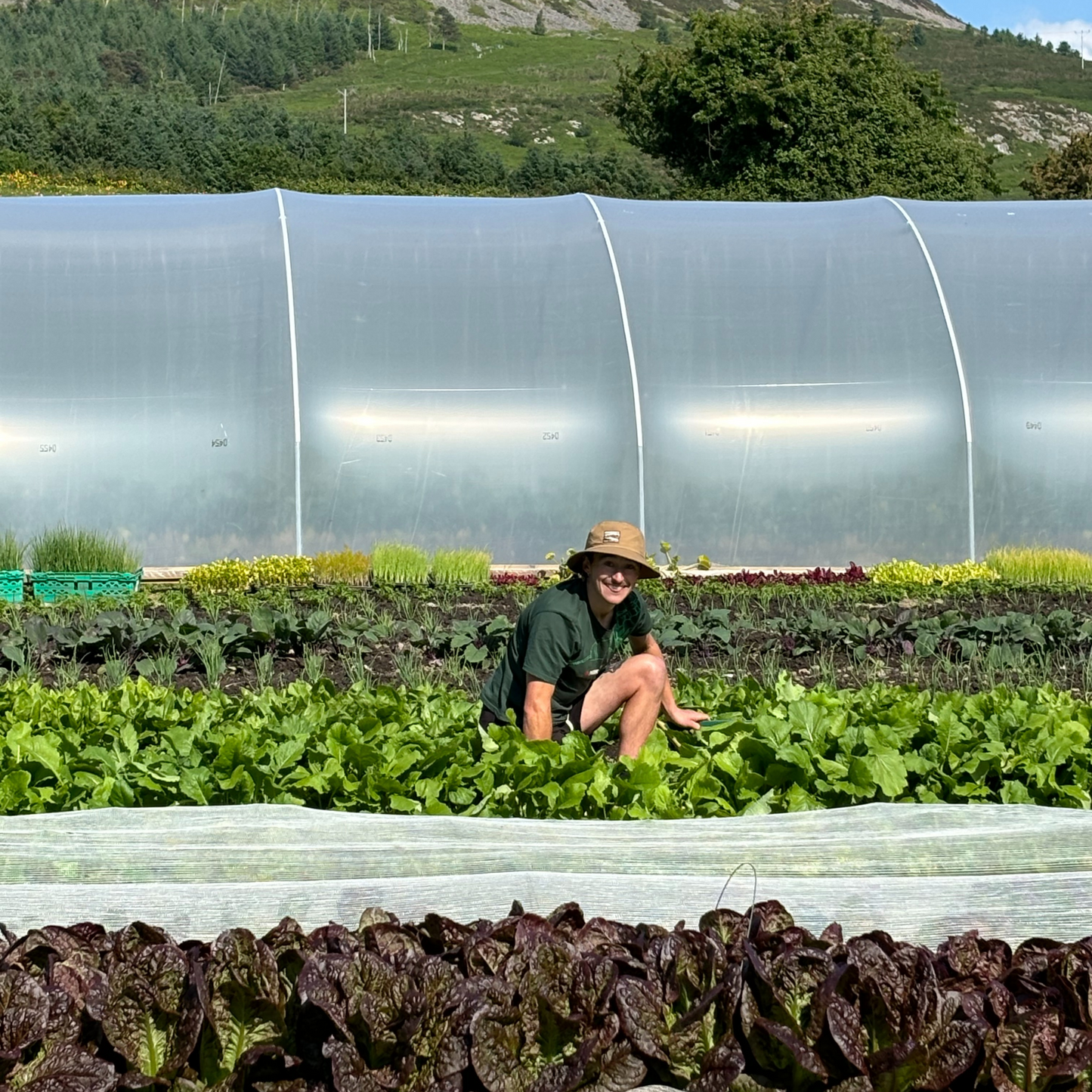 Farm Tour - 6th June