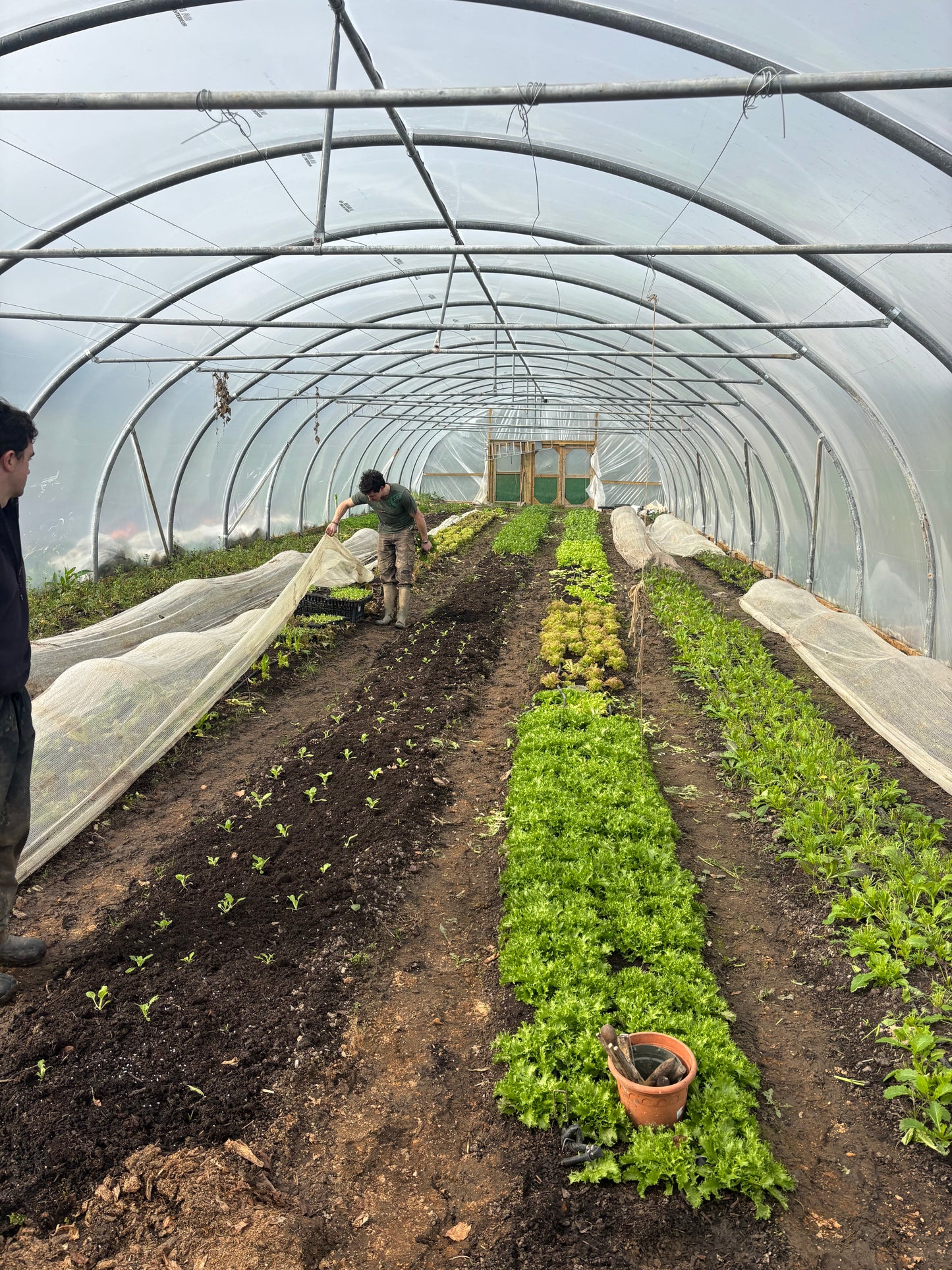 Farm Tour - 16th May