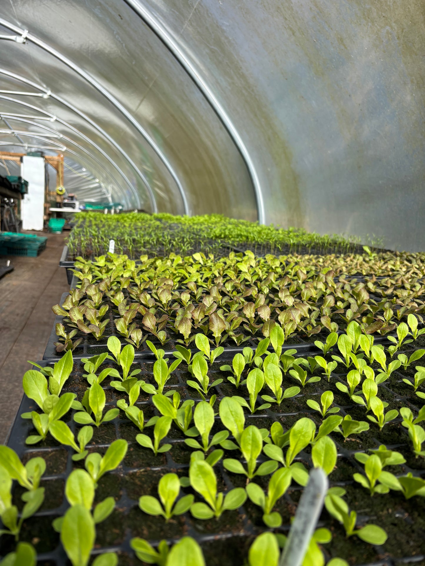 Farm Tour - 16th May